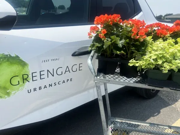 landscapers in manhattan ny