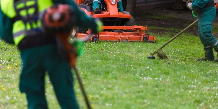 How to Choose a Landscaping Company in NYC (What to Look For Before You Hire)