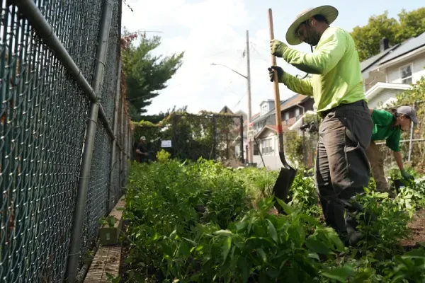 landscaping services in queens ny