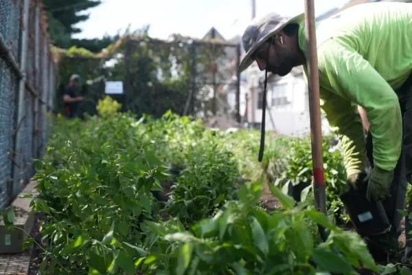 landscaping services staten island ny
