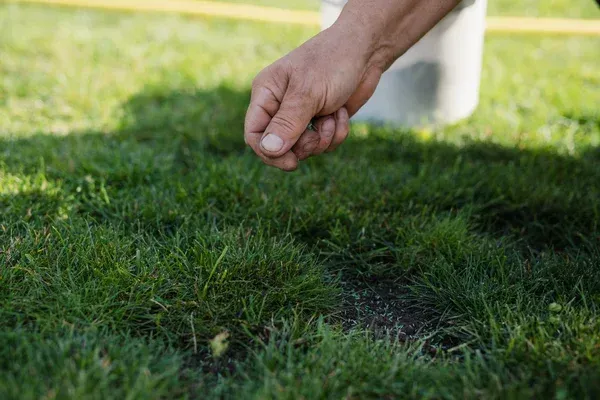 lawn aeration and overseeding services in brooklyn ny
