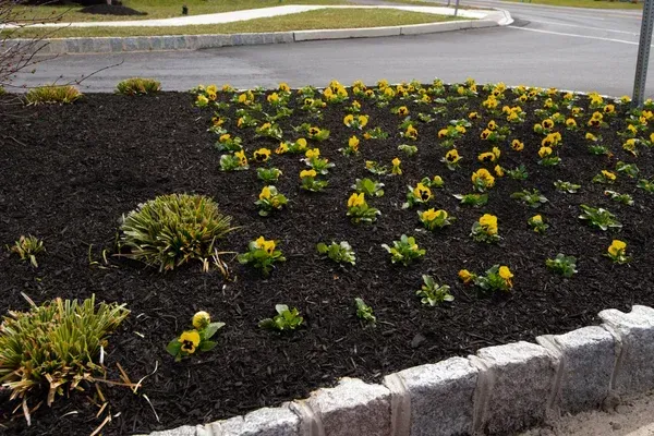 lawn and flower bed service in brooklyn ny