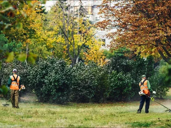 lawn care services in bronx ny