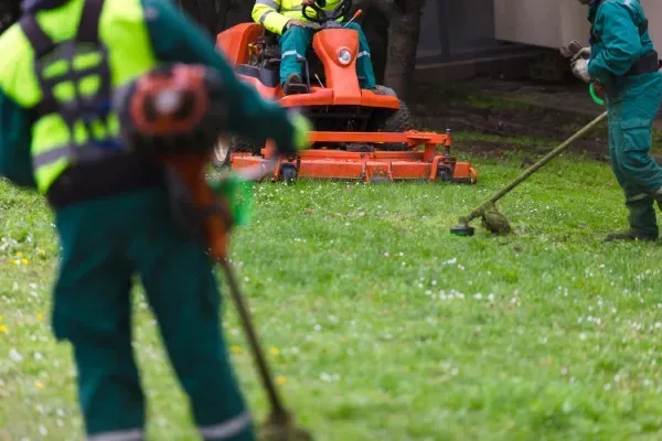 lawn care services staten island ny
