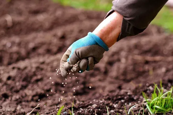 lawn fertilization experts in brooklyn ny