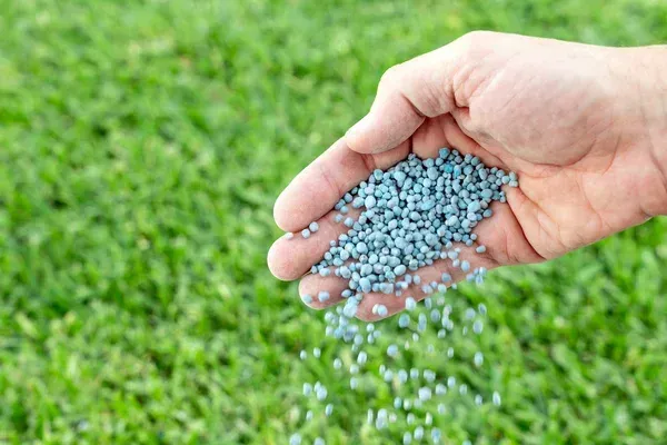 lawn fertilization services in brooklyn ny