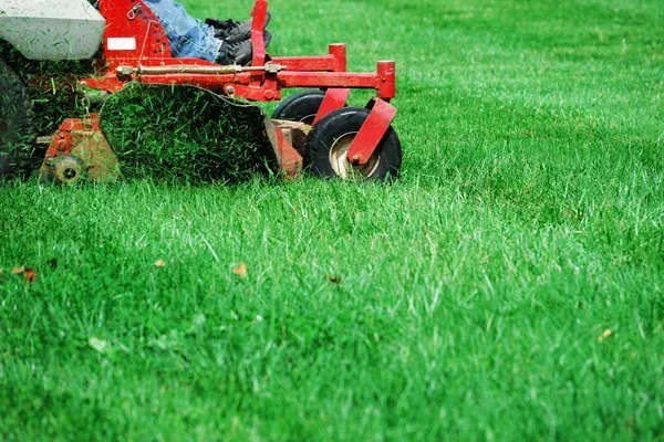 lawn mowing service in brooklyn ny