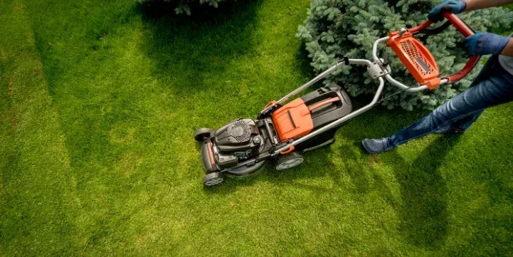 Outdoor Property Upkeep Checklist for NYC Landlords & Property Managers