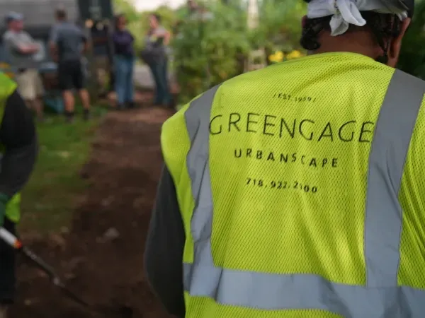 professional landscaping services in queens ny