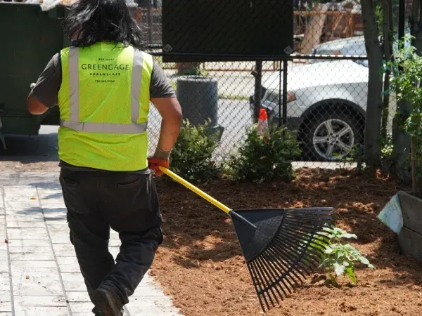 professional property care in staten island ny