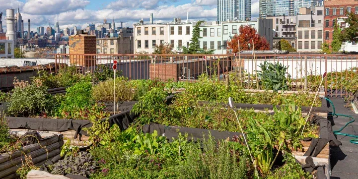 NYC Rooftop Landscaping Design & Maintenance: What You Need to Know