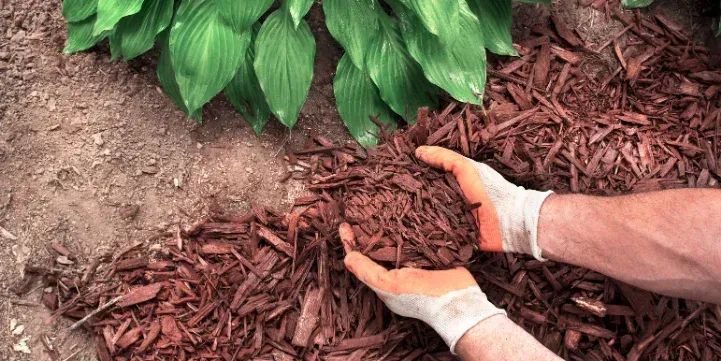 spring mulching brooklyn ny
