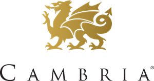 Gold dragon above the brand name 