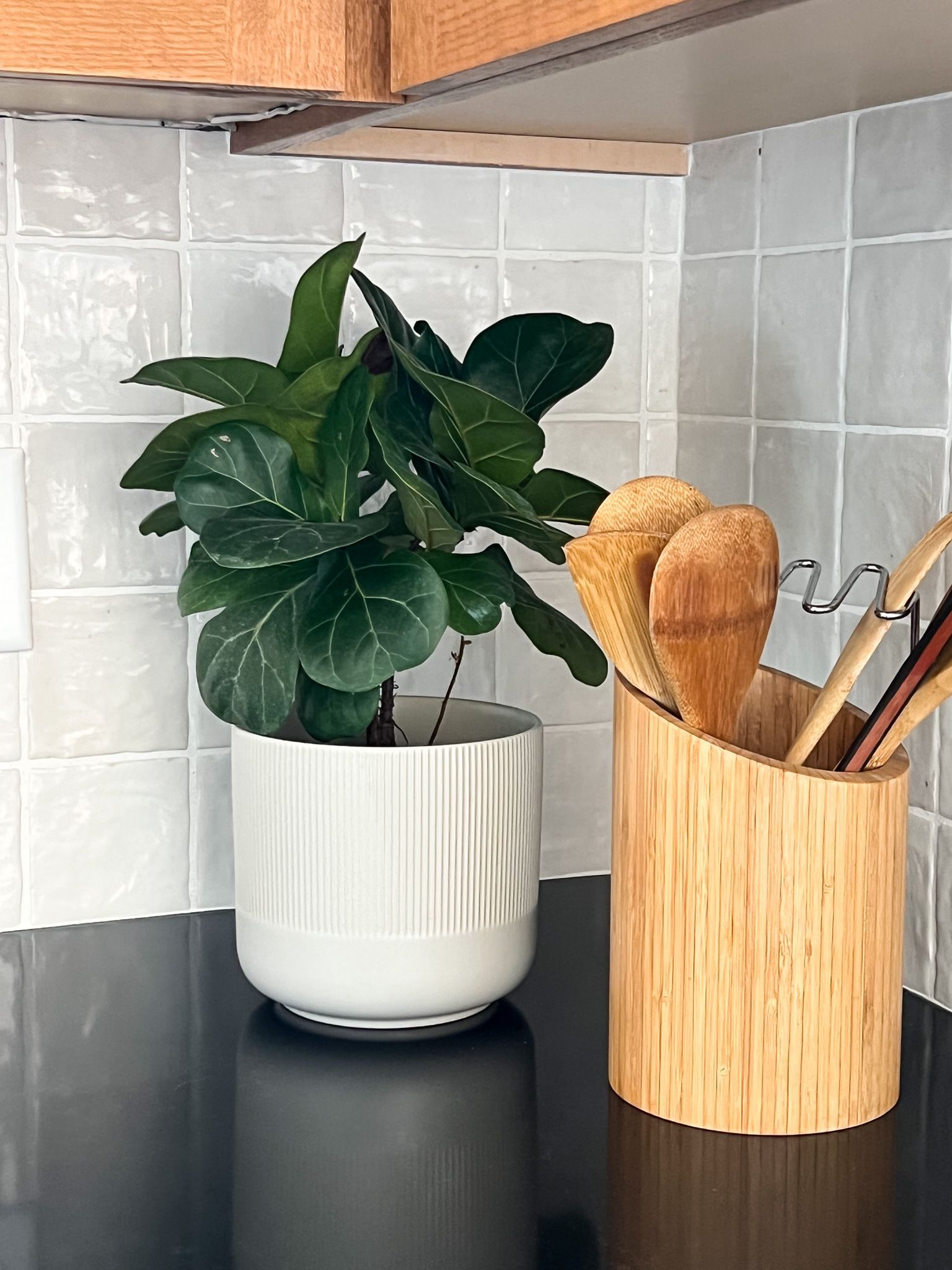 Fiddle leaf fig plant in a white pot beside a wooden utensil holder on a kitchen counter.