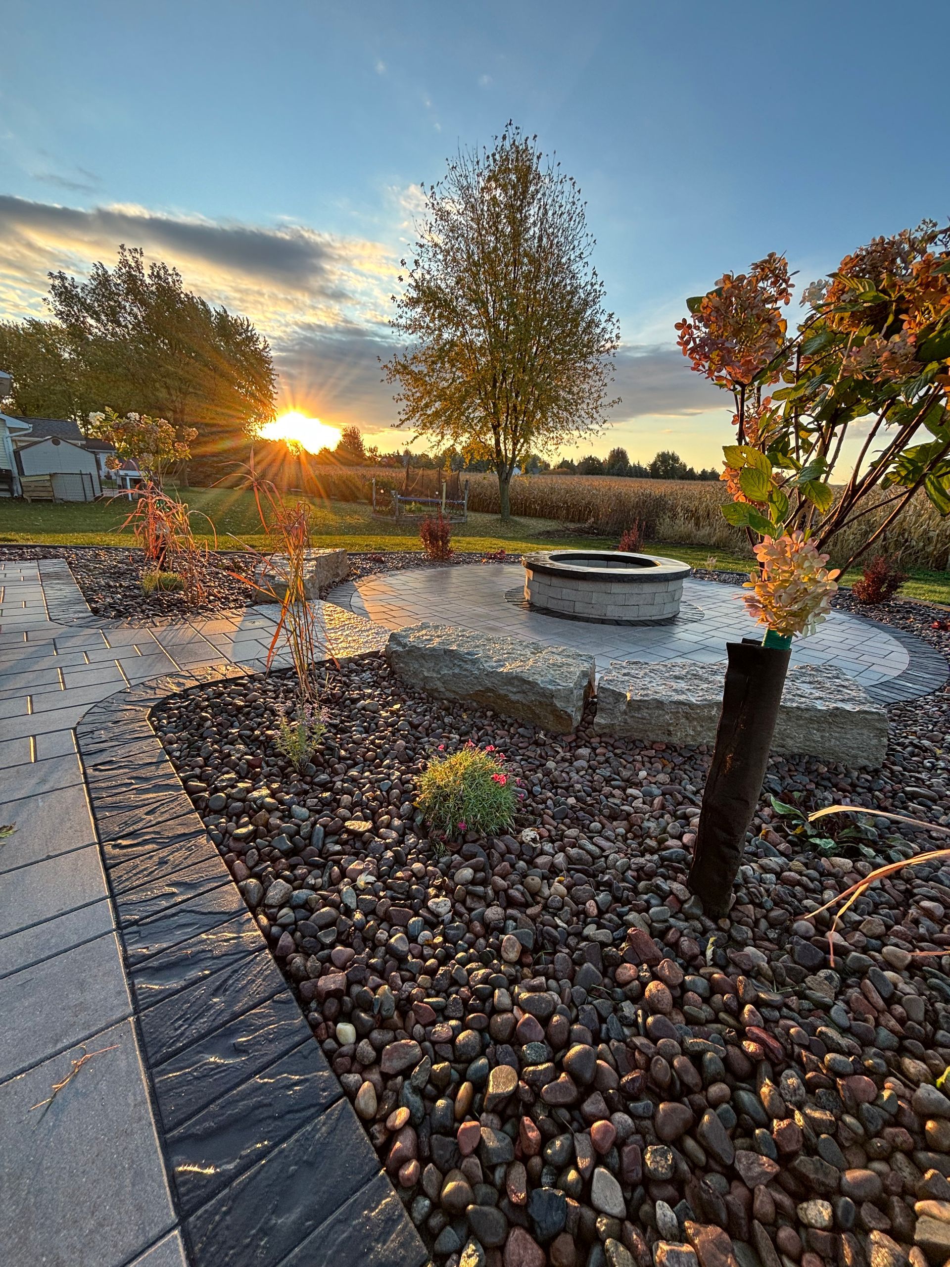 There are many different types of flowers in the garden. There are many different types of flowers in the garden.