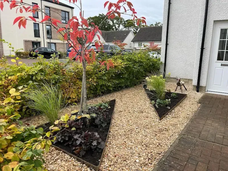 A garden with a tree and plants in front of a house.