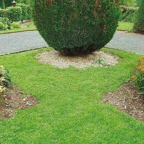 Before garden edging installed in NZ garden