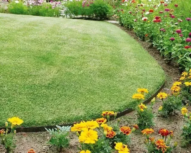 EverEdge Garden Edging NZ Being Used on a Lawn to Separate Flower Beds