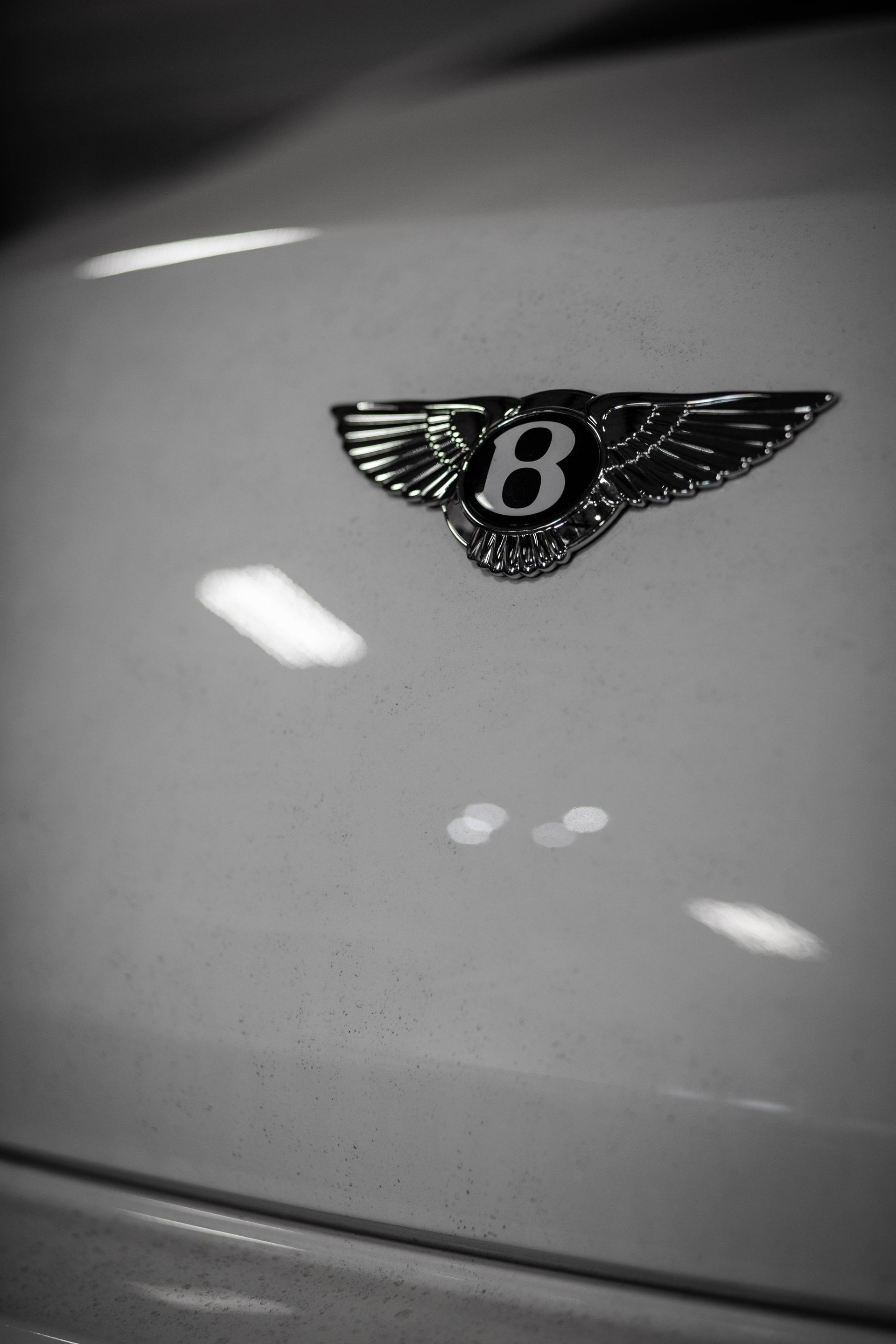 Bentley hood emblem with winged B on a glossy car surface