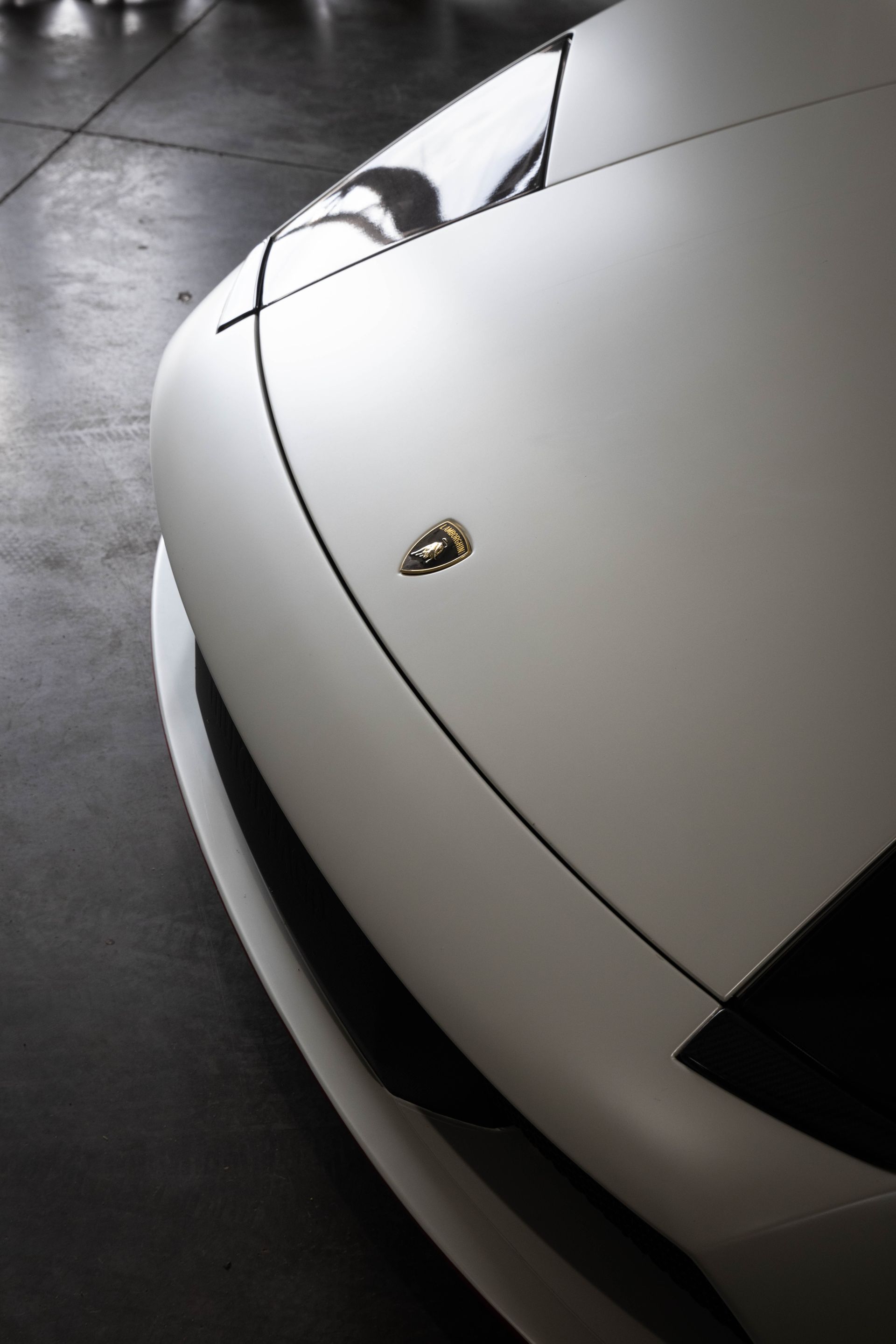 Close-up of a white sports car front with a Lamborghini emblem on a dark showroom floor