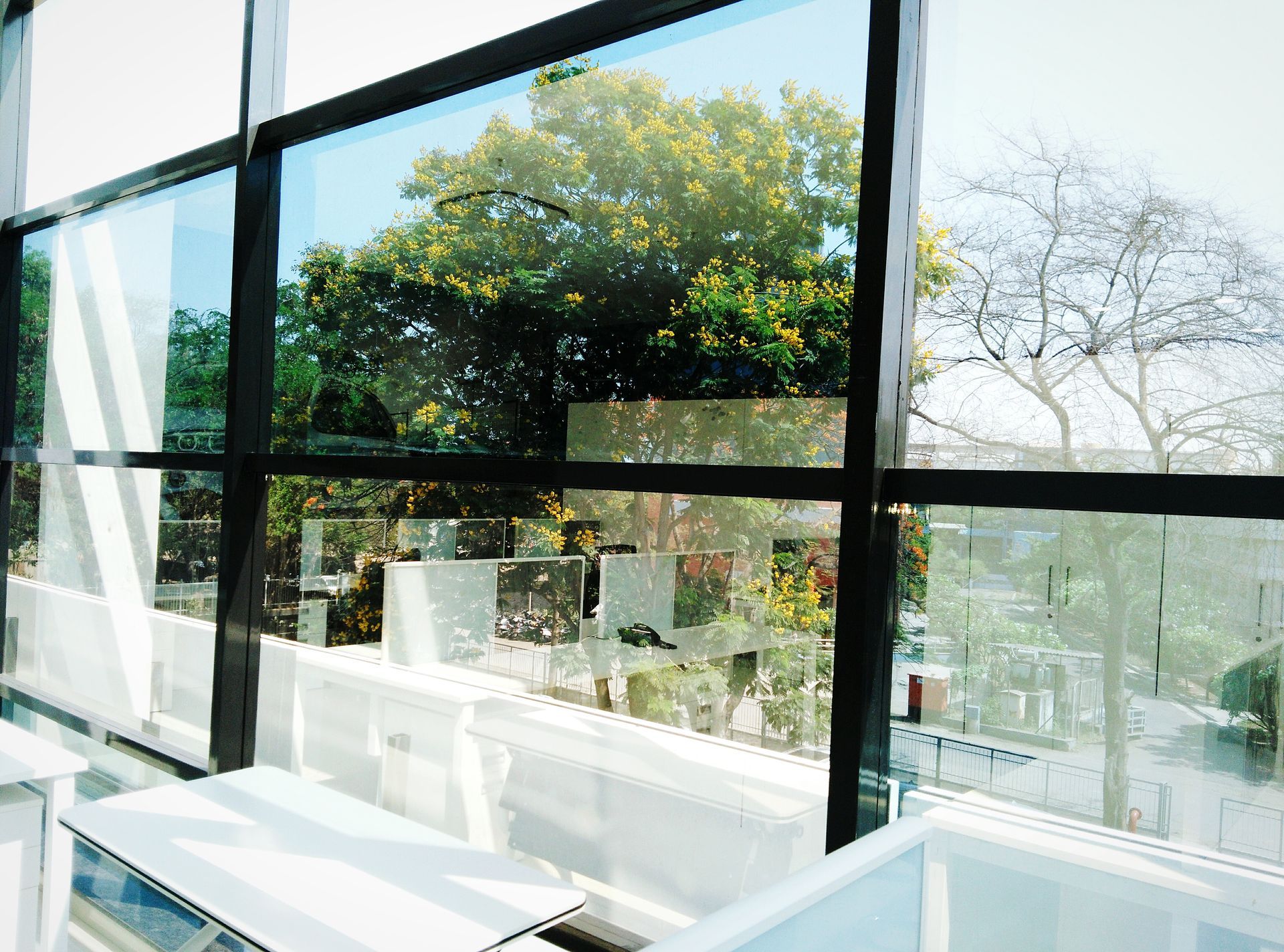Bright windowed interior with trees visible outside and white chairs by the glass
