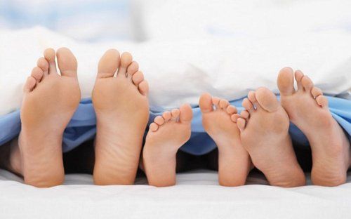 piedi