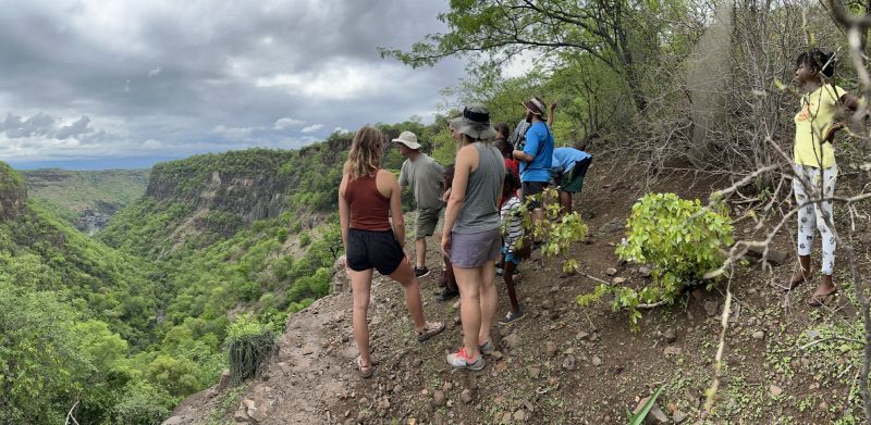 People stand on a cliff overlooking a lush canyon. Overcast sky.