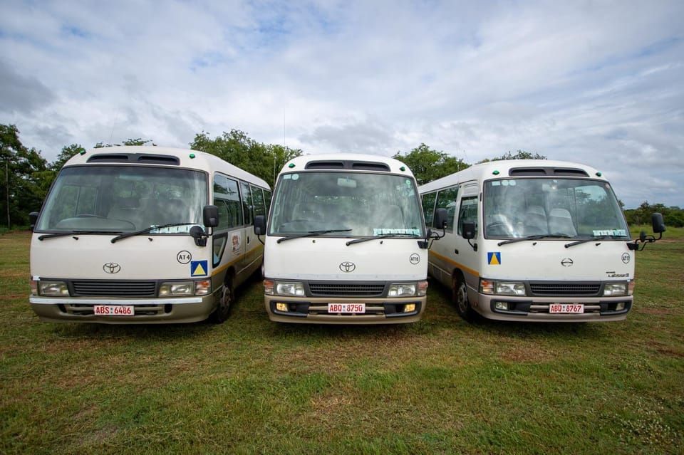 Three white buses are parked in a grassy field.