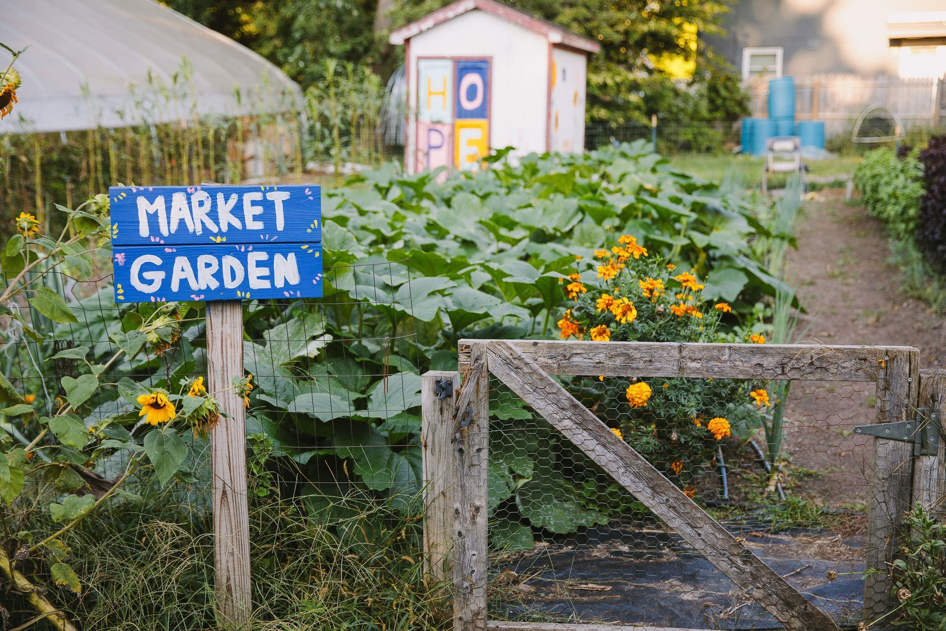 A garden with a sign that says market garden on it.