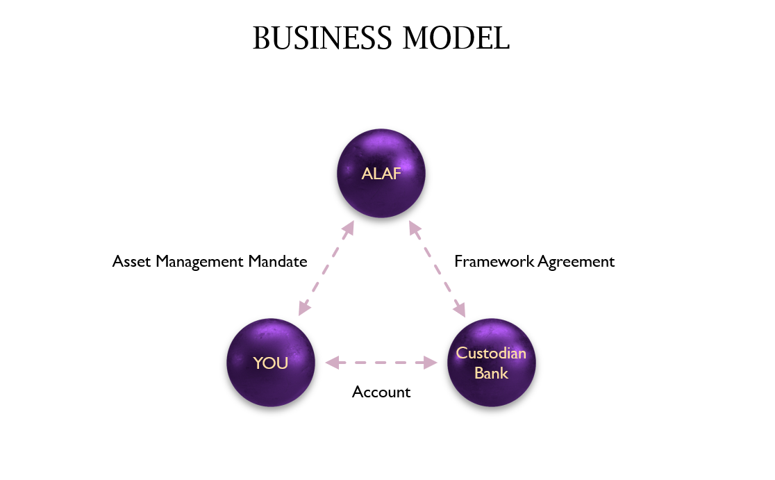 Business model diagram