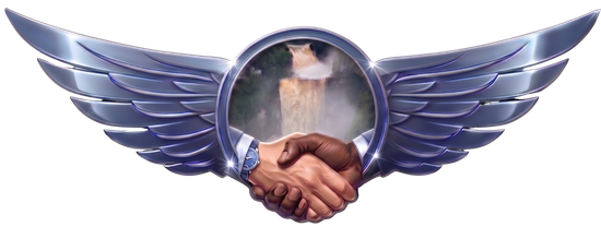  Sakaika Services, Inc. logo.