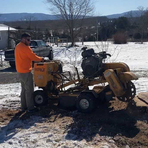 Man Grinding a Stump — Moorefield, WV — Rodriguez Tree Service