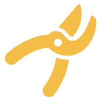 Tree Trimming and Pruning — Moorefield, WV — Rodriguez Tree Service