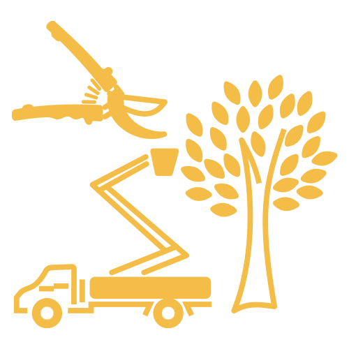 Tree Service — Moorefield, WV — Rodriguez Tree Service