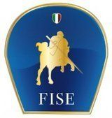 Logo FISE