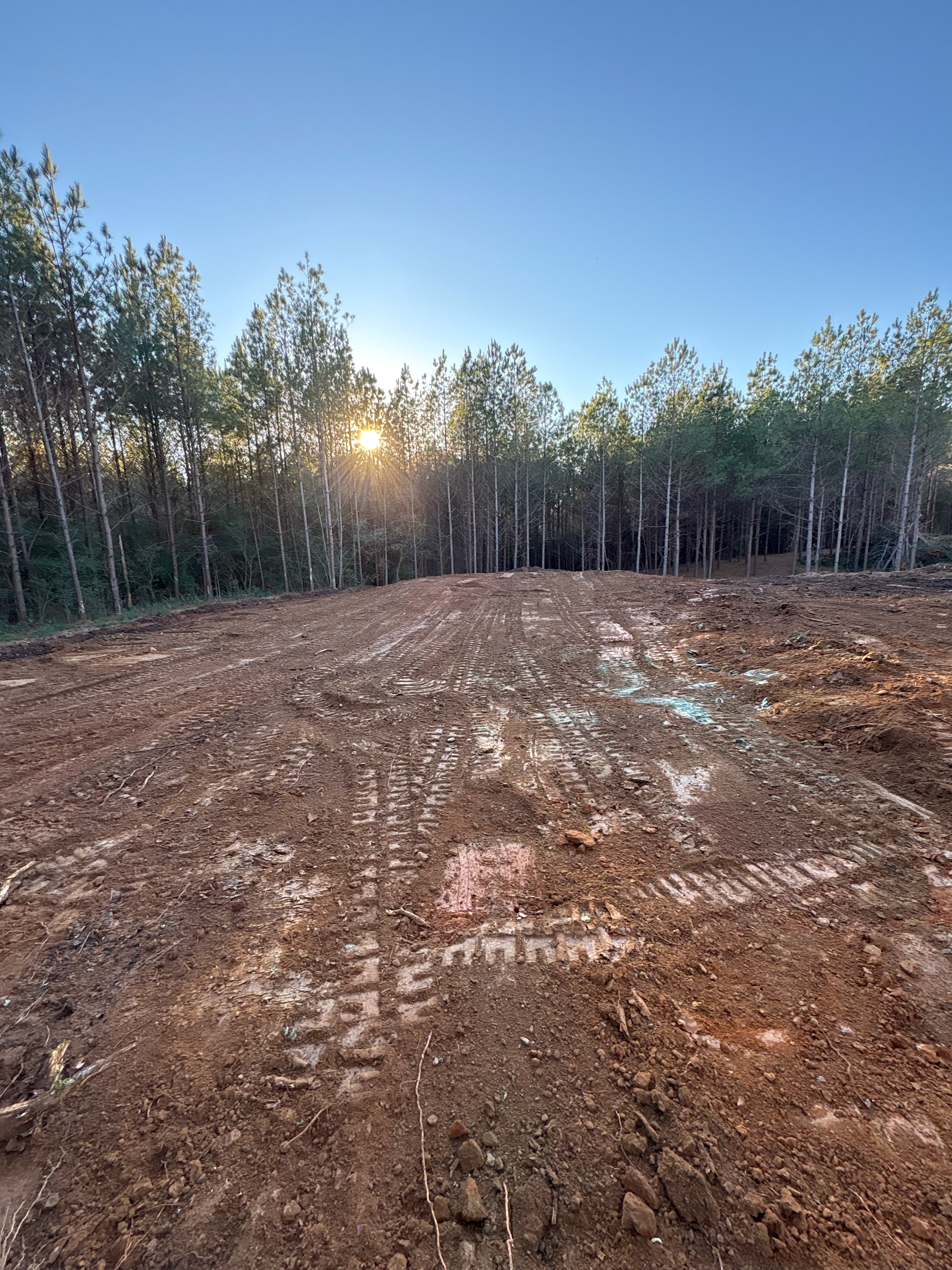 A freshly cleared lot of red dirt with tire tracks, bordered by a dense forest under a bright, sunny sky.