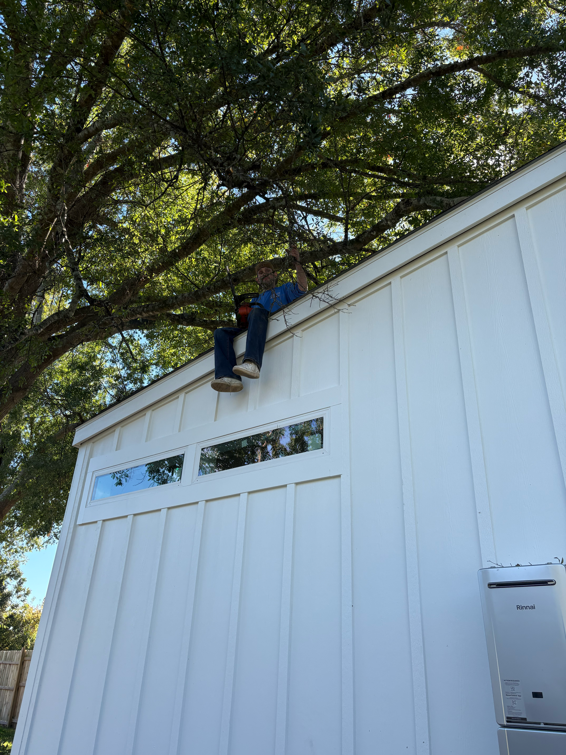 A person sitting on the edge of a white shed roof under a large tree.