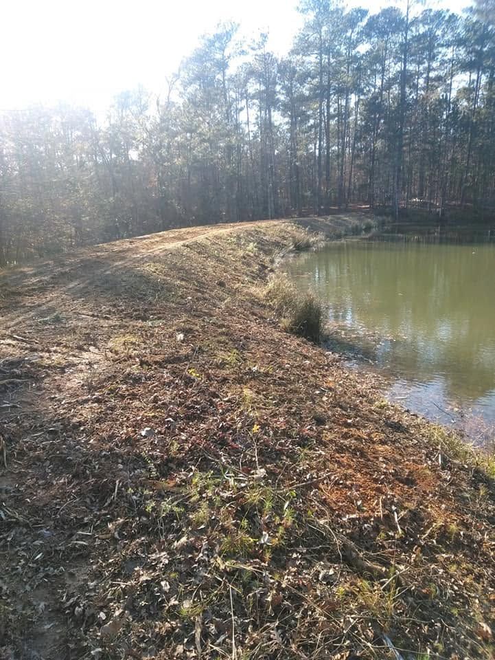 Sunlit pond beside a wooded embankment with dry grass and trees in the background