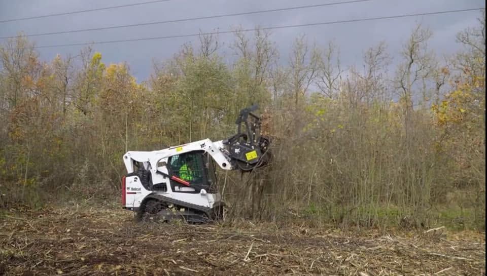 White skid-steer excavator in a muddy field cutting brush near power lines