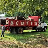 A truck loaded with logs; a person stands near the truck in a grassy area. The truck has 