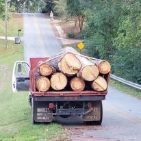 Truck loaded with logs on a road.