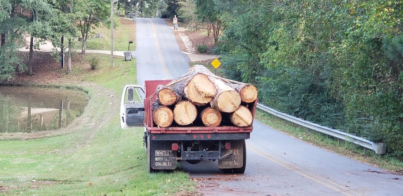 Logging truck loaded with cut logs driving down a rural road
