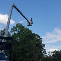 A cherry picker with a person in the bucket, trimming trees. Bright blue sky.