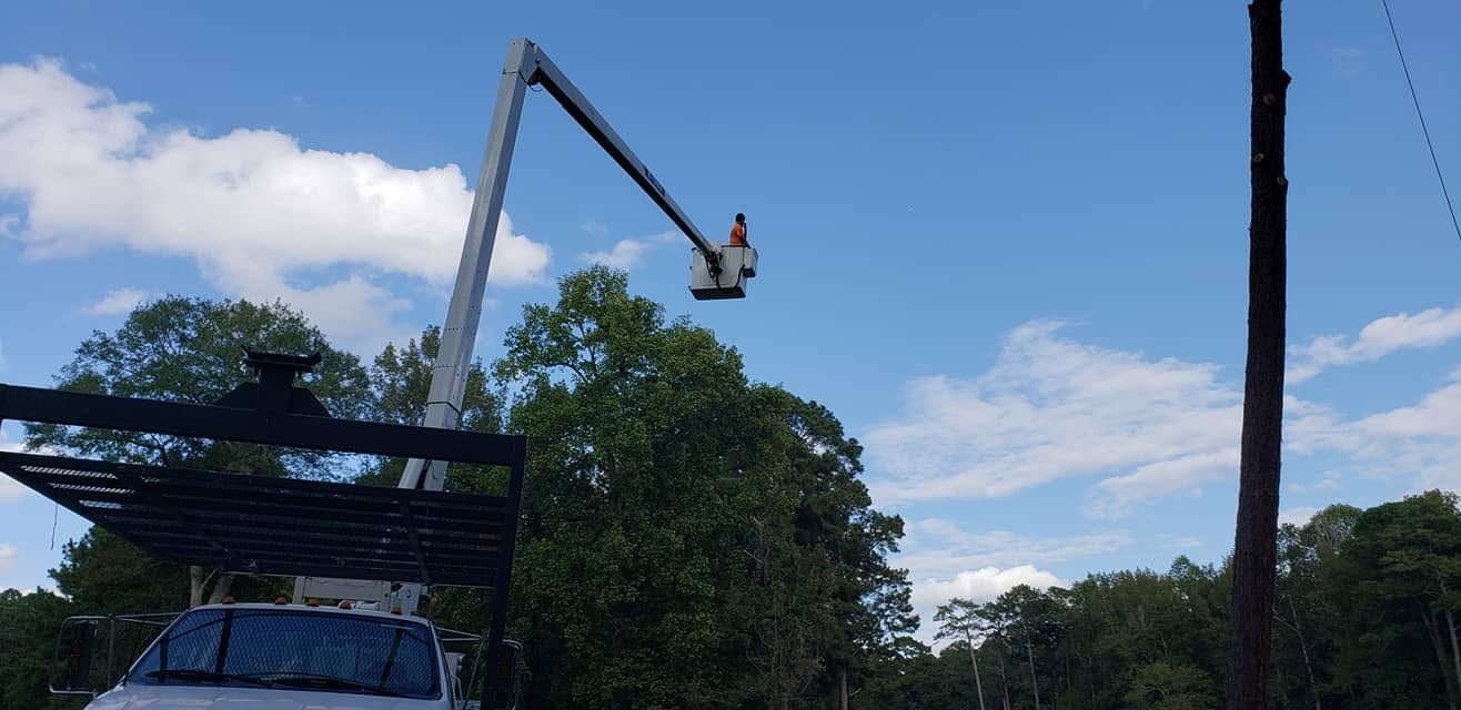 Construction crane lifting a worker bucket above trees under a blue sky