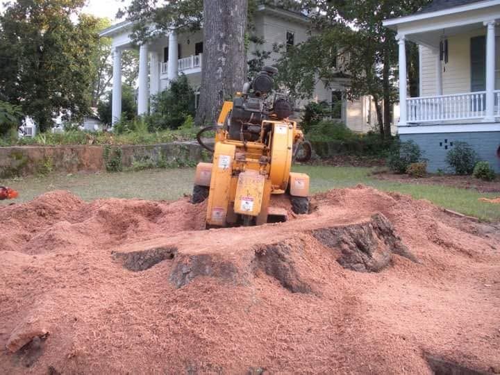 Yellow stump grinder on a large pile of wood chips in a yard with a house in the background
