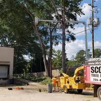 Tree removal scene: a worker, a large yellow machine, and a building.