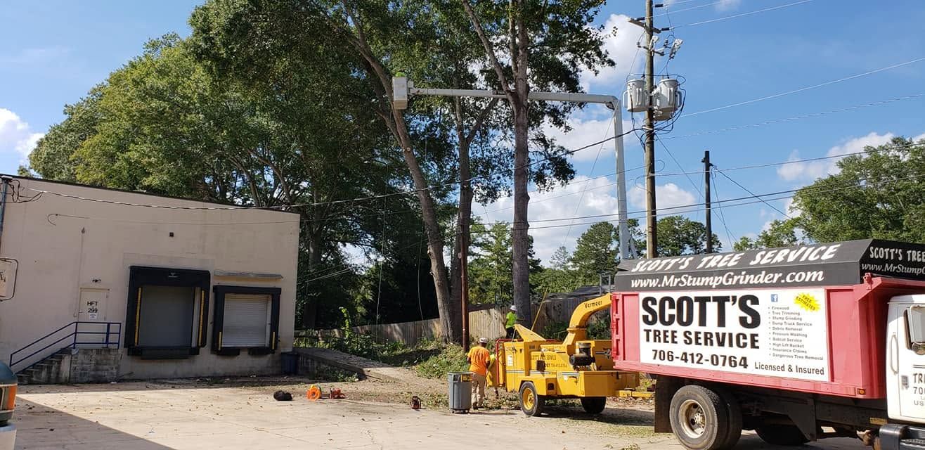 SCOTT’S Tree Service truck parked beside a small building and trees under a blue sky