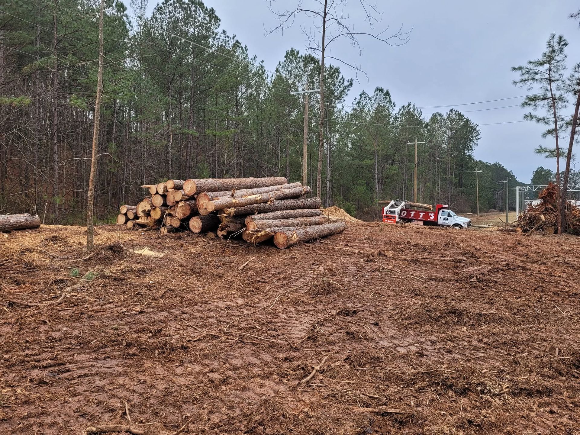 Stacked logs at a cleared forest site with trees and a red vehicle in the background