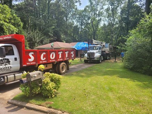 Red dump truck and white utility truck parked on a grassy driveway among trees, with a blue tarp-covered load.