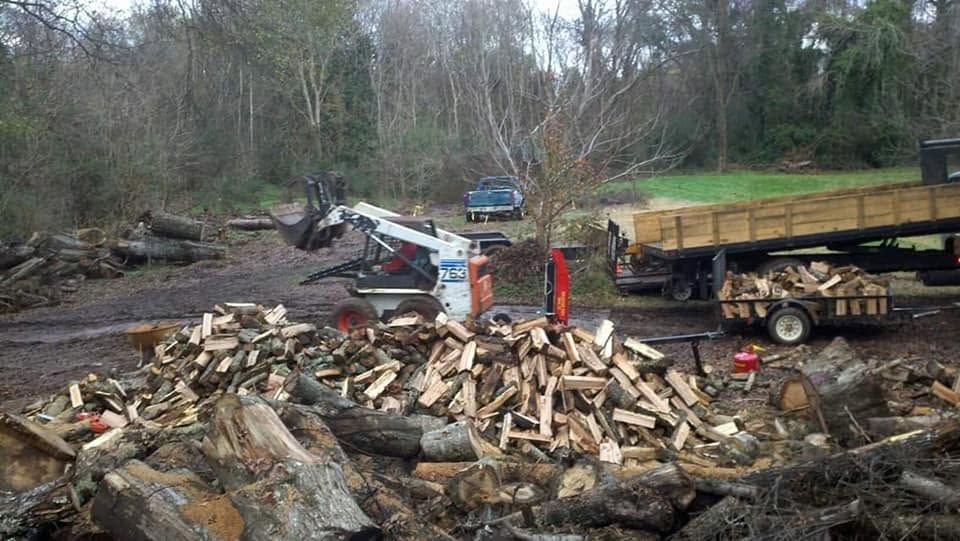 Logging site with cut wood piles, a truck trailer, and muddy ground near a wooded area